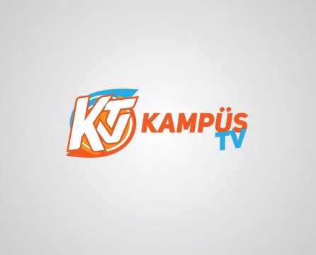 Financial Risks of Companies, Management and Solution Methods ! (Mature Koyuncu - Mehmet Gökdemir)